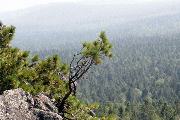 Лесная горная пустыня. Фото местности Среднего Урала.